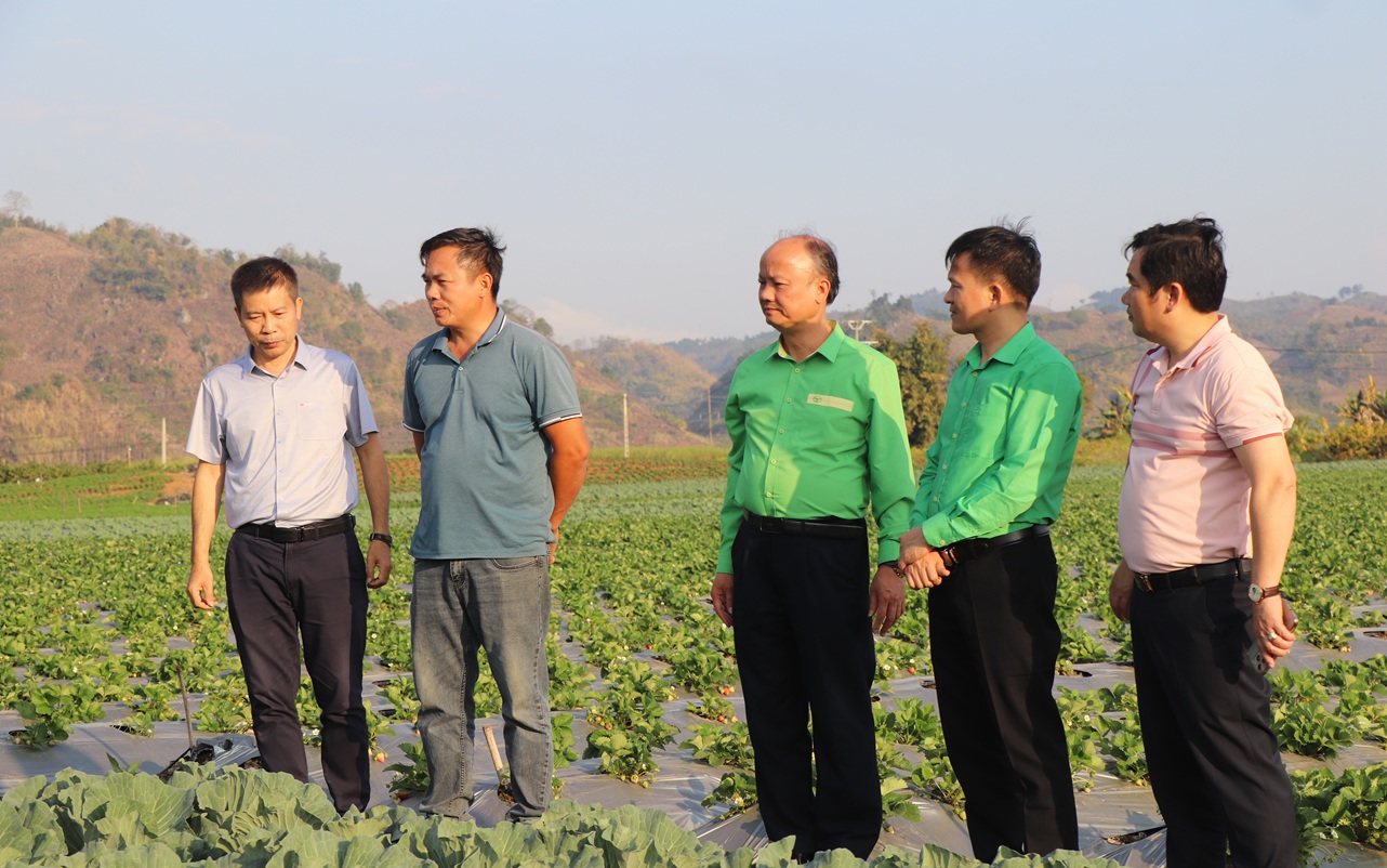 Tiến Nông đồng hành cùng nhà phân phối chuyển đổi từ hộ kinh doanh lên doanh nghiệp