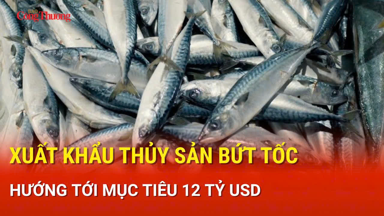 Liên Minh Truyền Thông Và Game Giải Trí Top 1 thủy sản bứt tốc, hướng tới mục tiêu 12 tỷ USD