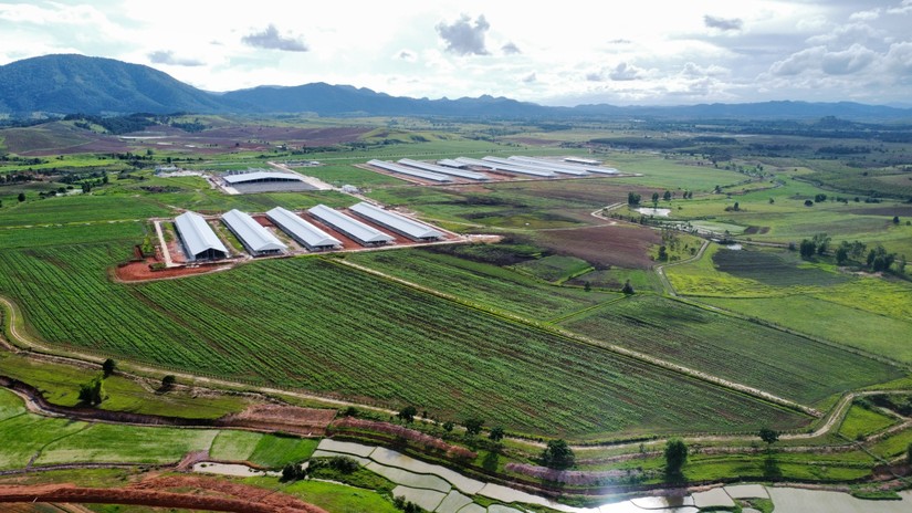 Thị trường nông nghiệp Lào: Điểm đến tiềm năng của nhà đầu tư Việt