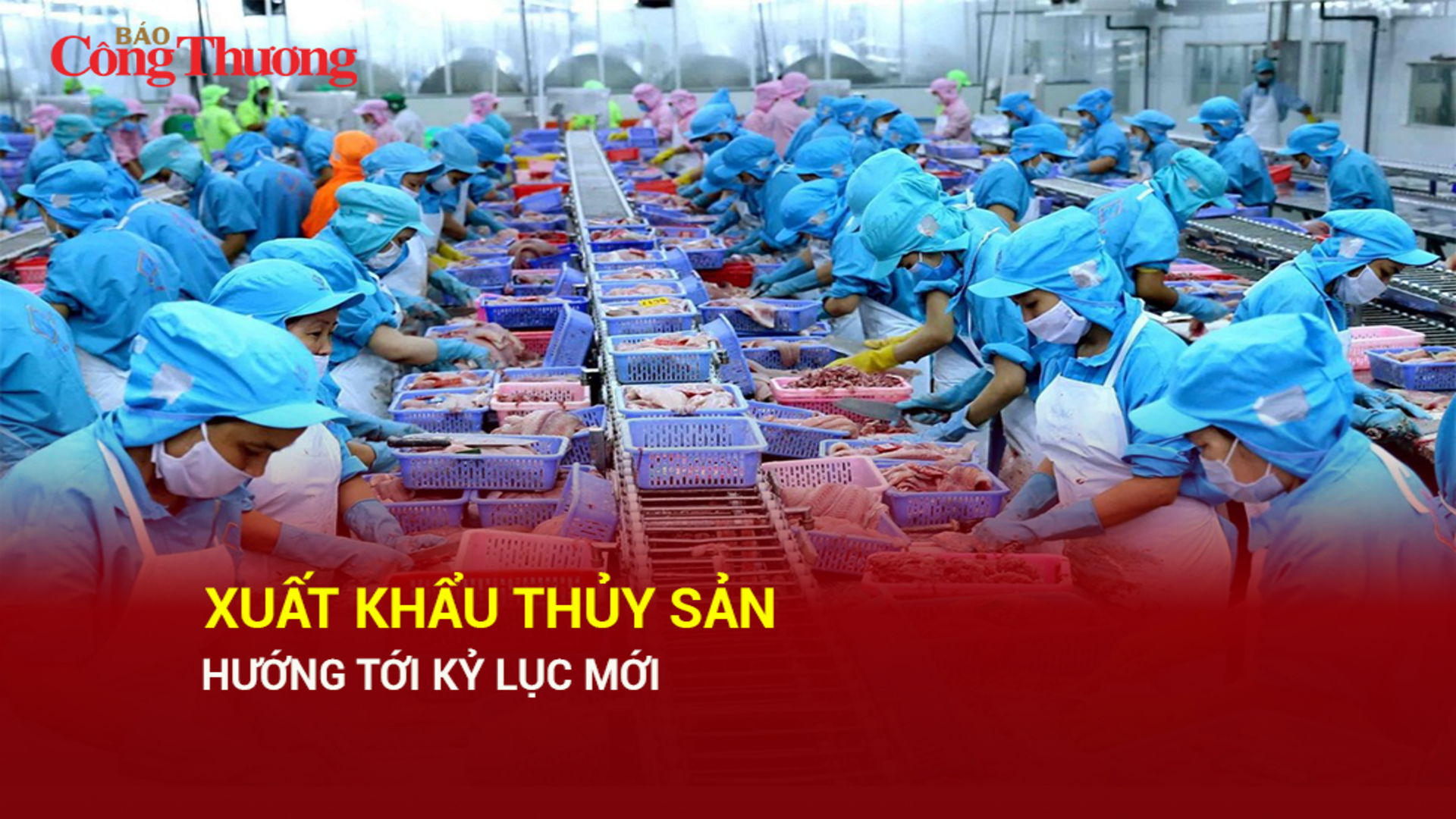 Liên Minh Truyền Thông Và Game Giải Trí Top 1 thủy sản hướng tới kỷ lục mới