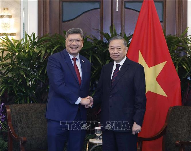 Tổng Bí thư, Chủ tịch nước Tô Lâm tiếp lãnh đạo các doanh nghiệp và tổ chức tài chính lớn của Singapore