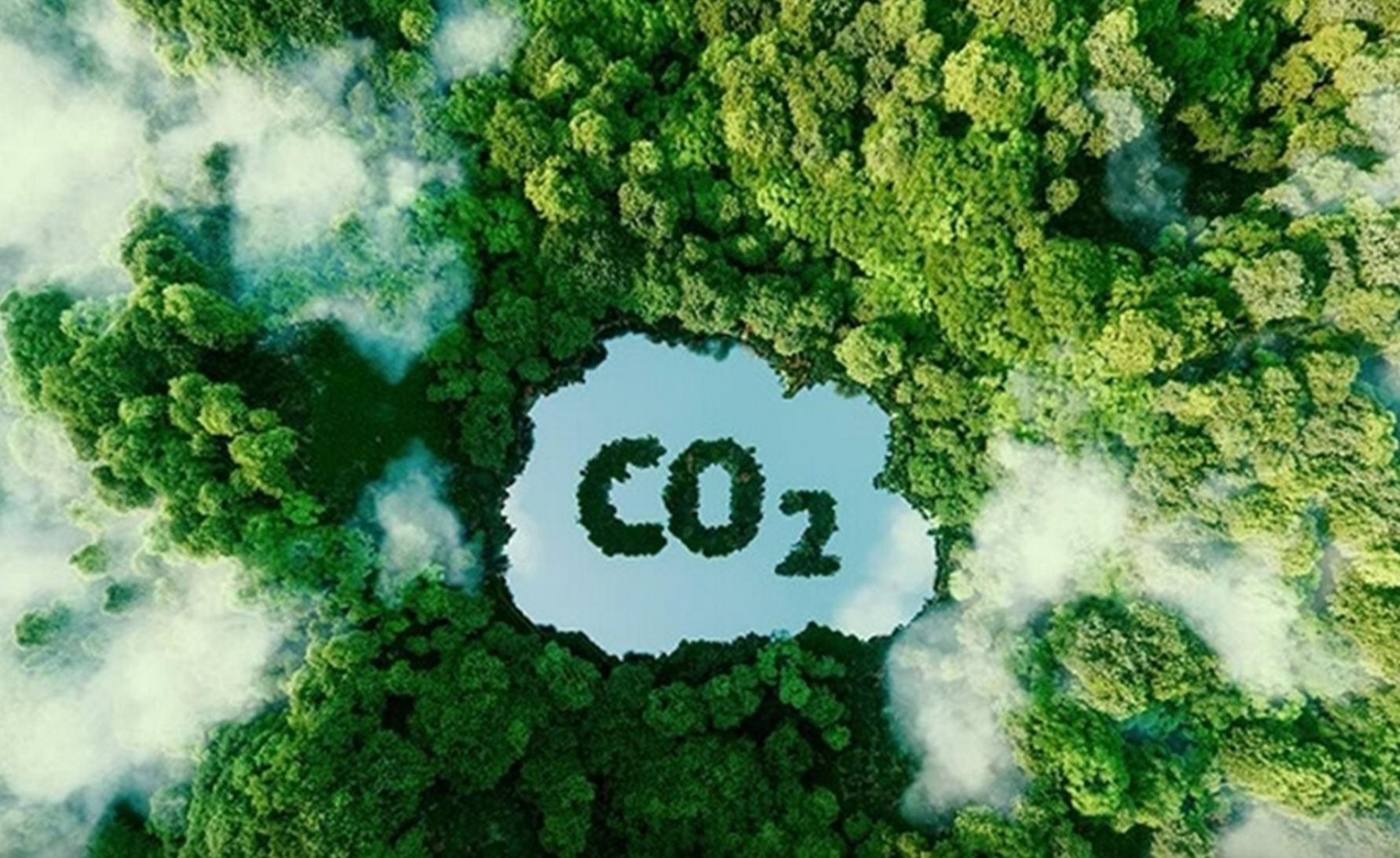 Thị trường carbon toàn cầu bước vào cuộc đua chất lượng tín chỉ