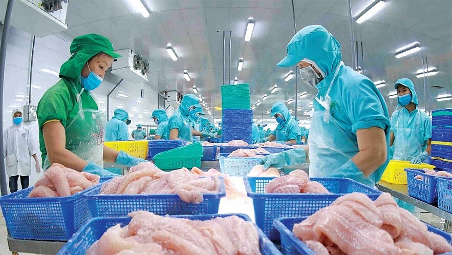 Việt Nam là thị trường cung cấp thủy sản lớn thứ ba cho Trung Quốc với mức tăng mạnh 29,6% so với cùng kỳ năm 2025. Ảnh minh hoạ