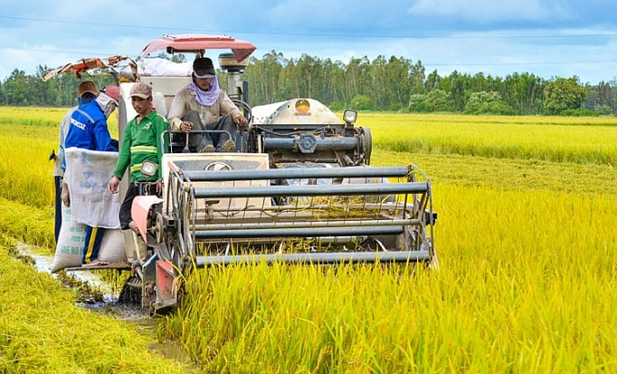 Sản xuất nông nghiệp phục hồi, nuôi trồng thủy sản tiếp tục khởi sắc