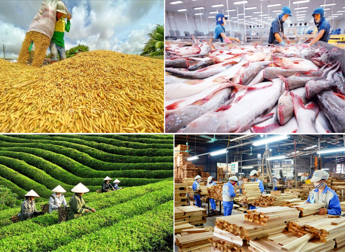 Infographic | Sản xuất nông nghiệp 5 tháng duy trì đà tăng trưởng 