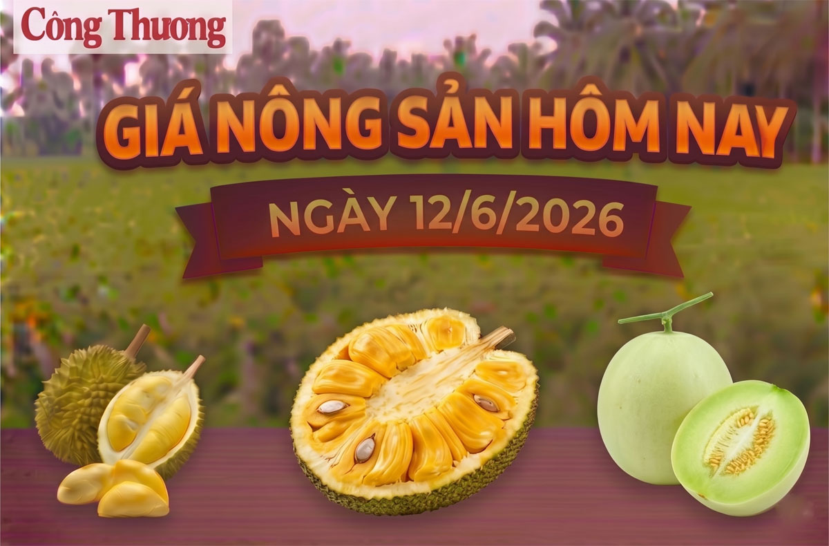 Giá nông sản hôm nay, ngày 12/6: Mít Thái đang ở mức thấp