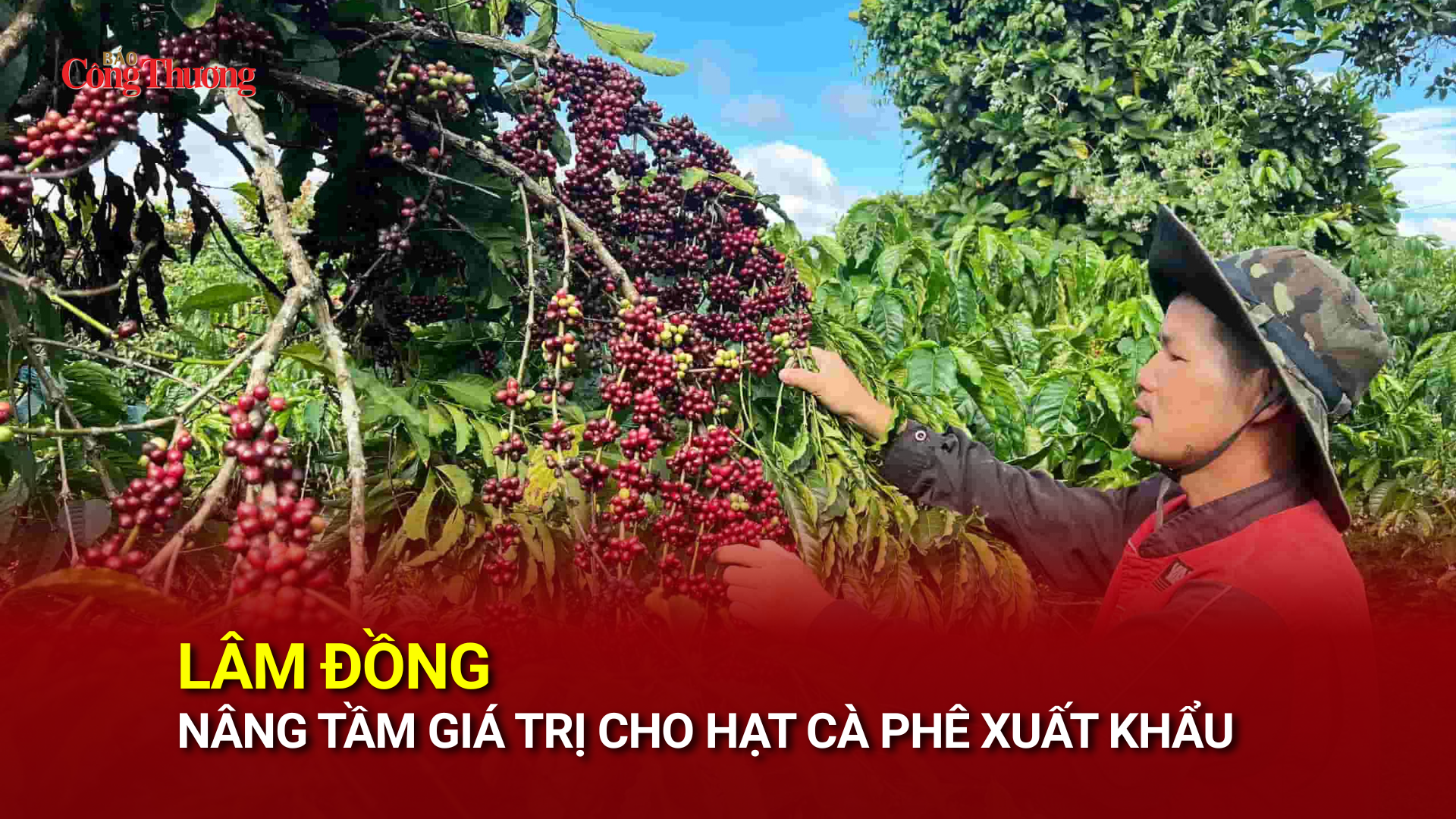 Lâm Đồng nâng tầm giá trị cho hạt cà phê Liên Minh Truyền Thông Và Game Giải Trí Top 1